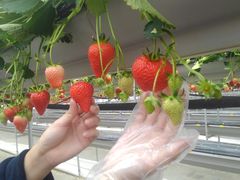 50̃Xm[{[h񂳂̎RFUJIt[cp[Nւ̓eʐ^3