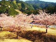 ˂񂳂̎܂q̗̓eʐ^3