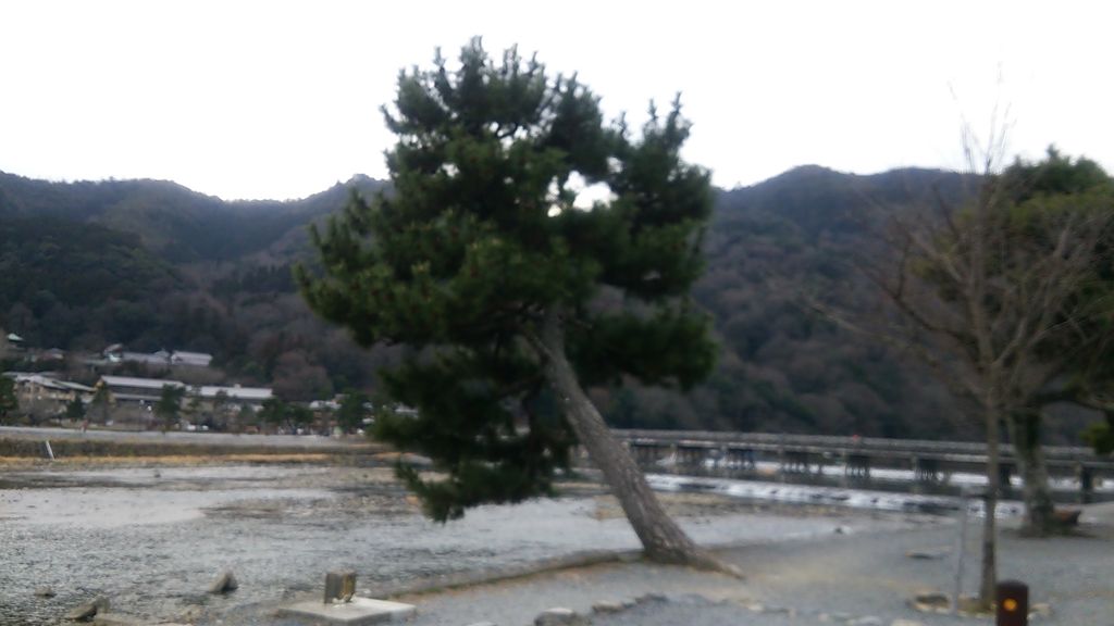 京福電鉄嵐山線 嵐電 の観光スポットランキングtop10 じゃらんnet