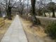 雪乃さんの哲学の道（京都府京都市）の投稿写真2