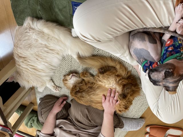 �L�܂݂�ł�_�L�J�t�F�@�g�t