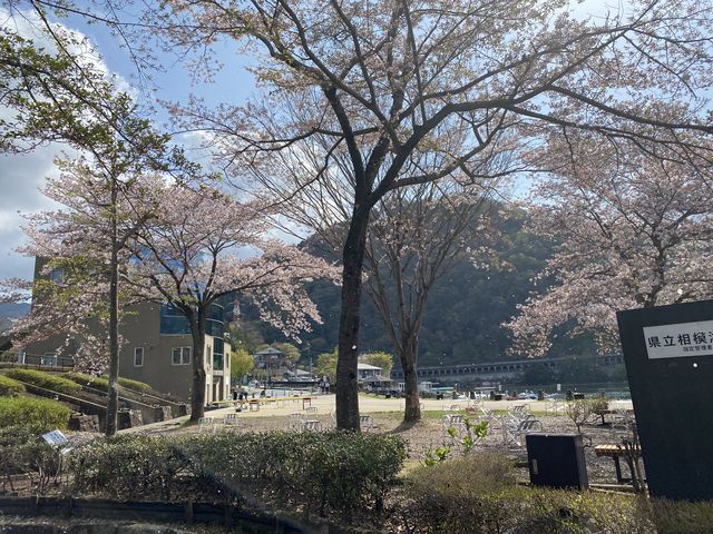 �����Ⴊ���ꂢ�ł����B_�������͌Α�����