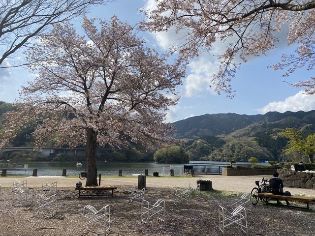 ��������K���Ă��鍂�Z���l�����̎p������܂���_�������͌Α�����