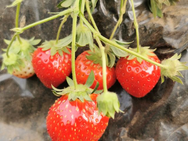 �Ƃ����Ƃ�_���c�t�@�[�������h