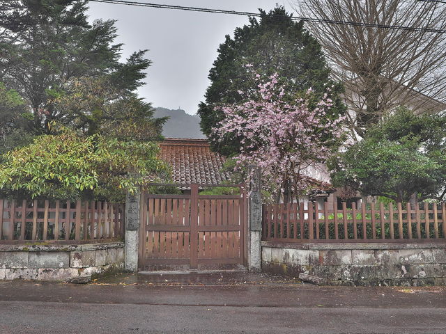 sklfh̋T䉷̊فiTƕʓ@j̓eʐ^1