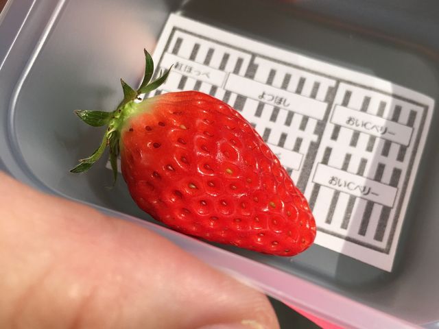 �i��̔z�񂪂킩�鎆�����炦�܂��B_������i�x��䕉�