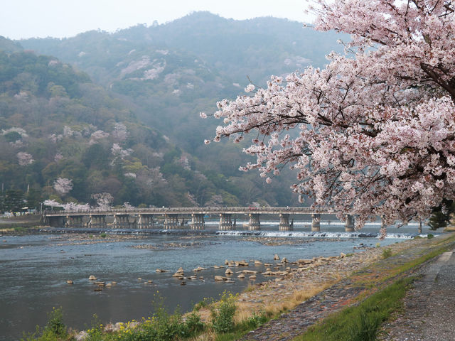 �����̓n�����ƍ�_�n����