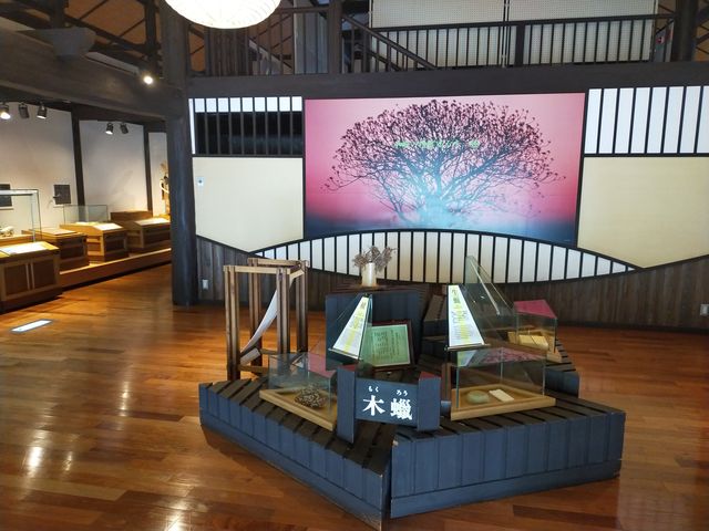 ��F��@���ɂ���ؘX������_�ؘX�����ُ�F��@