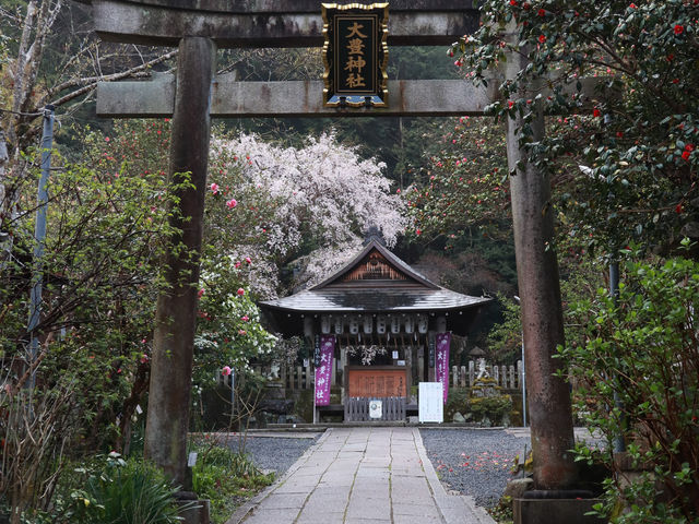 ��L�_�Ђ̒����ƎГa_��L�_��