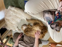 䂤񂳂̔LJtF@gtւ̓eʐ^1