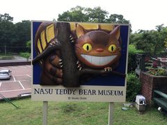 imohei̓ߐ{efBxAE~[WAւ̓eʐ^1