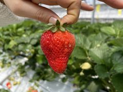 ̂ςς䕂ւ̓eʐ^1