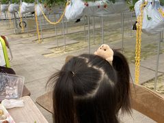 [񂳂TODAx[t@[ւ̓eʐ^1