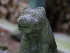 YanwenlïR_Ђւ̓eʐ^2