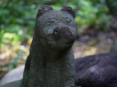 YanwenlïR_Ђւ̓eʐ^3