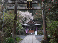 ItFEX̑L_Ђւ̓eʐ^1