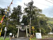 񂳂̌܏Ђ̃iM̓eʐ^1