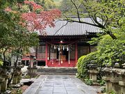 񂳂̌܏Ђ̃iM̓eʐ^1