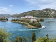 wanben����̔\����Ղ̍��̓��e�ʐ^2