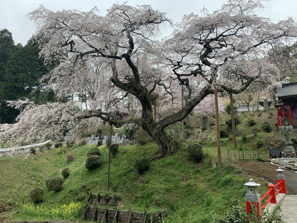 袋田駅周辺の動物園 植物園ランキングtop10 じゃらんnet