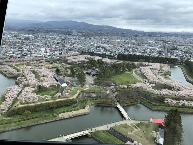 ���ܗŊs_�ܗŊs����