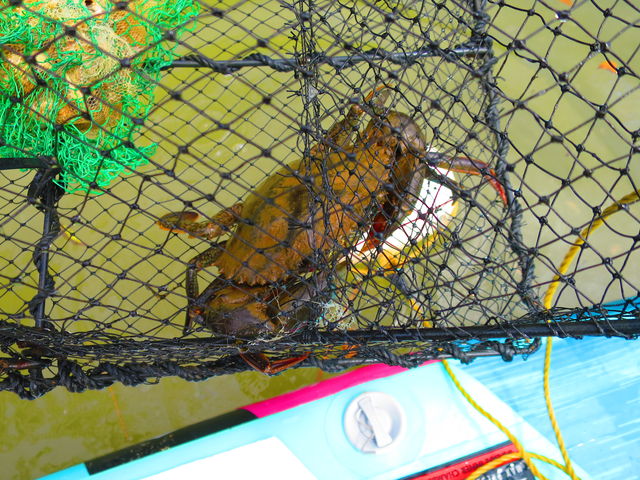 カニのお客様_貸切アウトドアツアーショップ FRiP