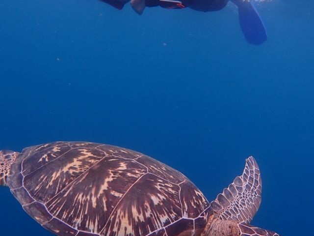 ���ʐ^�́A������[���ɂĂ����肢�������܂��B
_�}�b�T�_�C�r���O�N���u