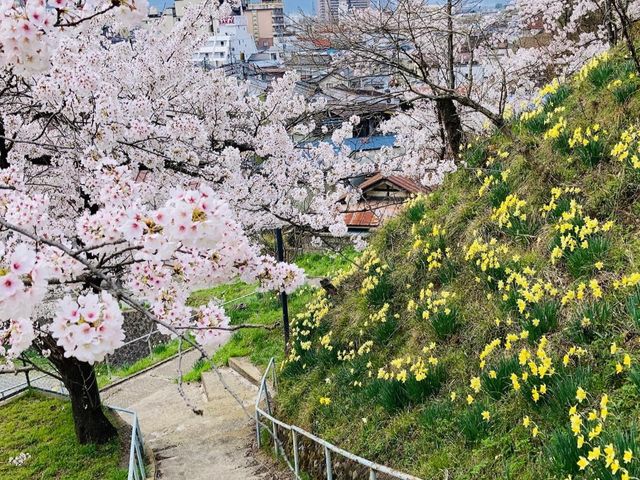 chkazz̐(t)̍̓eʐ^2