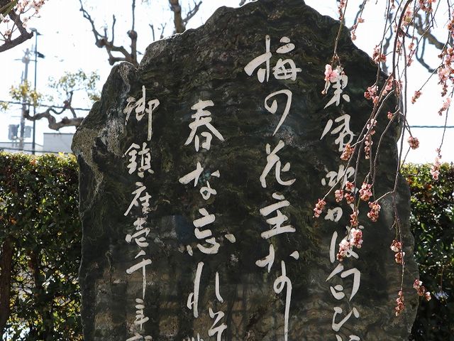 �����̔�B_�j�~�V���{