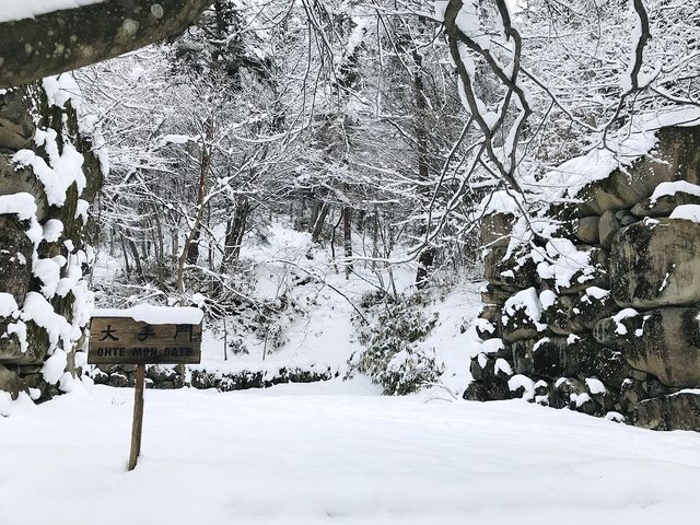 ���傤��������̍��R��Ղ̓��e�ʐ^4