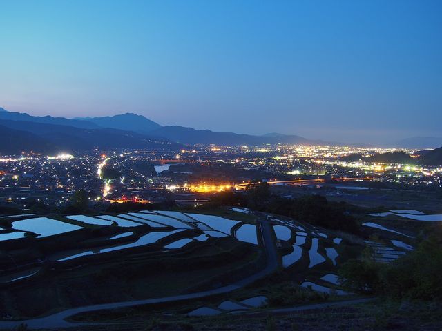 5΂Ă̒IccA̋G߁BP̖i_H