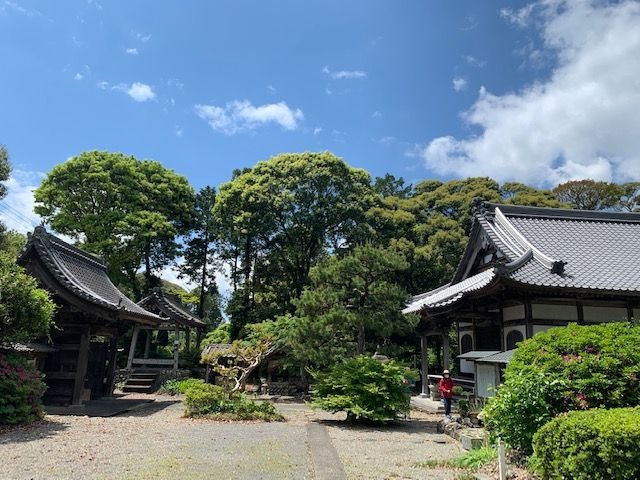 �v����_����̒��R