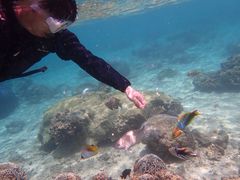 [񂳂̐̓A@Dive@ւ̓eʐ^1