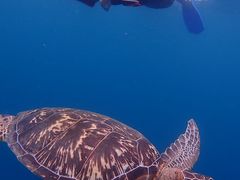 肳̃}bT_CrONuւ̓eʐ^1