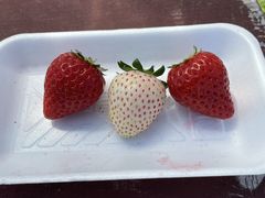 �܂䂿��񂳂�̋g���_���ւ̓��e�ʐ^1