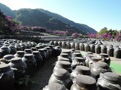 ��������񂳂�̍��|�{�� ���u�c�ւ̓��e�ʐ^2