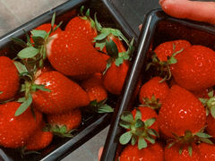 񂳂joumonfarmi傤ӂ[ށjւ̓eʐ^1