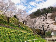 chkazz̐(t)̍̓eʐ^1