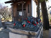 Yanwenli̍j~V{̓eʐ^7