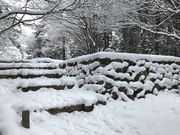 ���傤��������̍��R��Ղ̓��e�ʐ^2