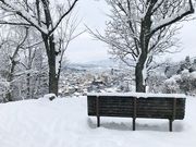 ���傤��������̍��R��Ղ̓��e�ʐ^3