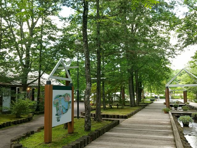 čsƌ΂ɏo܂_y^AZ(St)