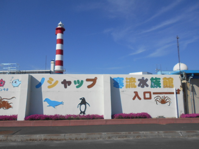 �m�V���b�v����������_�m�V���b�v����������