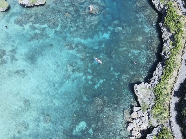 �h���[���ŎB�e���Ă������������C�ɓ���I_�{�Ó����]�[�g�X�|�[�c