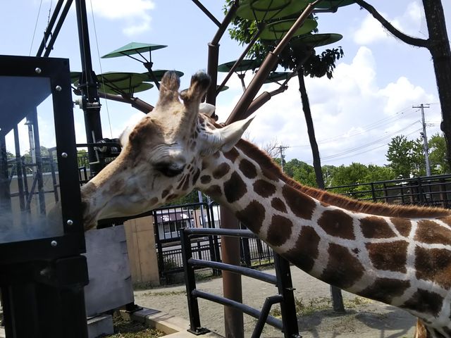 �ق��̓��������܂����Ɍ���܂��B_���R������