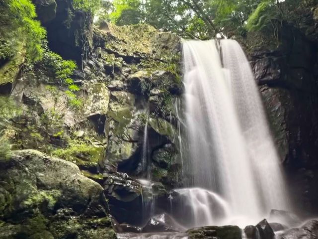 ��̋߂��܂ŊK�i�ōs����̂�
�}�C�i�X�C�I�������Ղ芴���܂��I_�����̑�