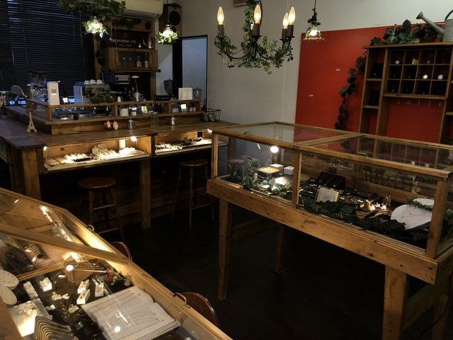 �������ŗ���������X���ł����I_�X�̒�������gouttedor