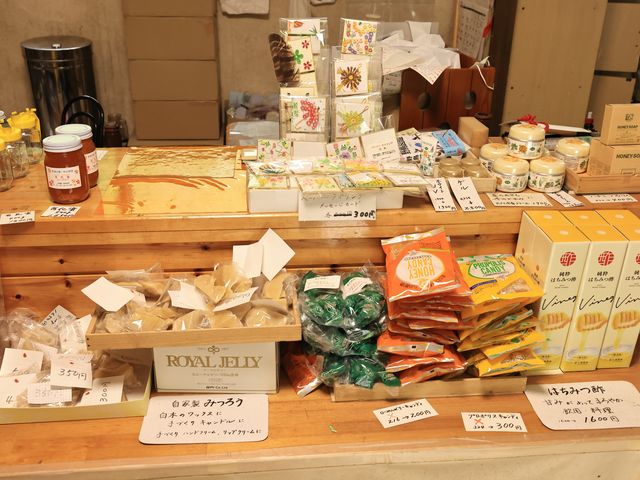 n`~cgĐFXȏi_n`~c̐I