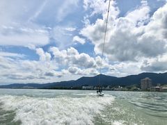 noñtEFCN{[_[Yւ̓eʐ^1