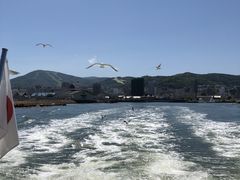 nobuさんの小樽海上観光船（小樽観光振興公社）の投稿写真1